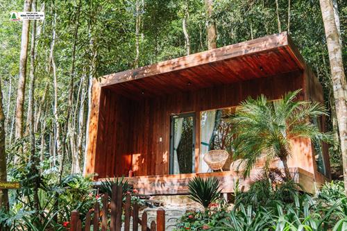 Forest Bungalow3