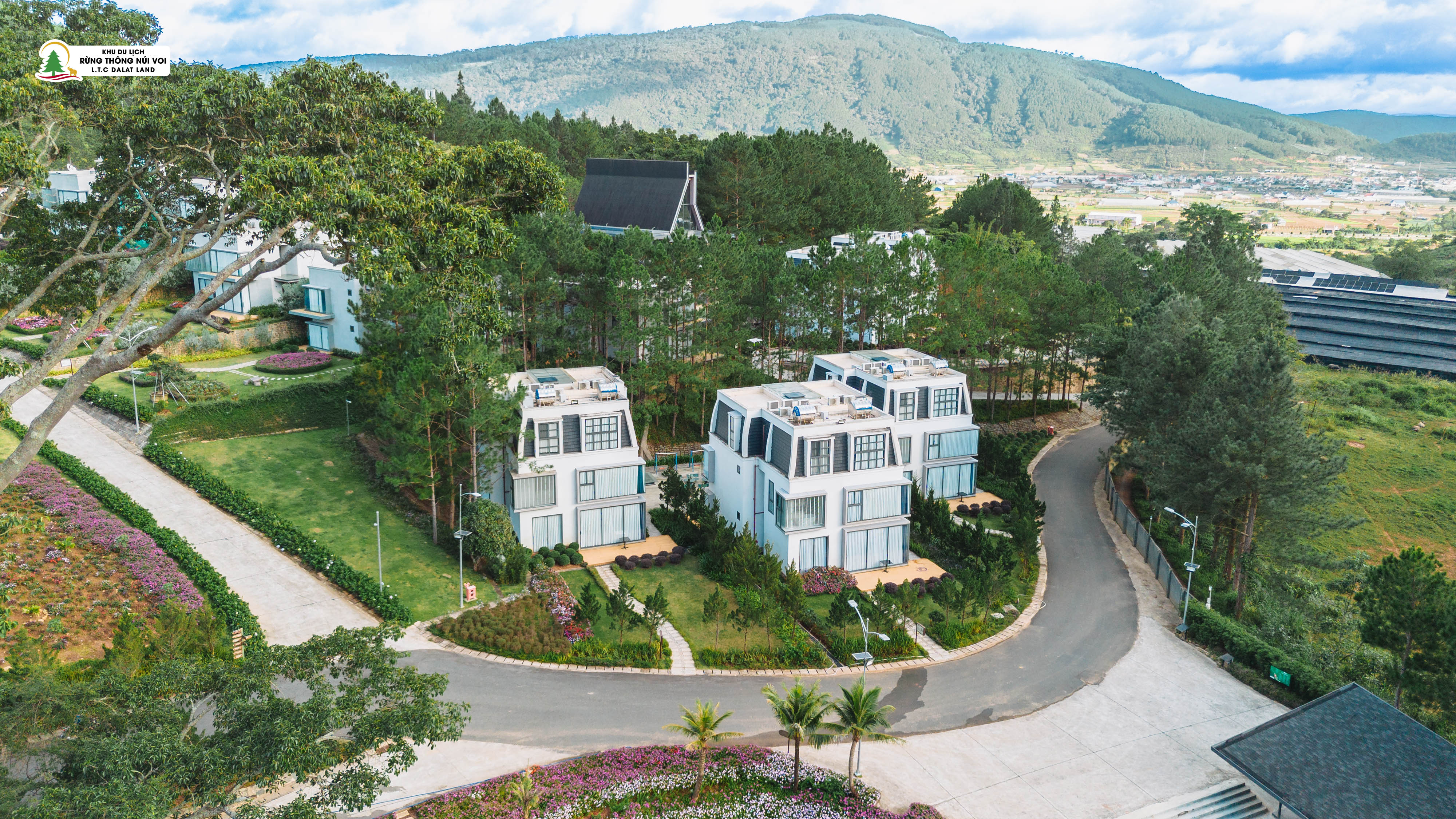 Villa 8 Phòng - View Rừng Thông